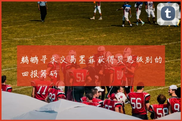 鹈鹕寻求交易墨菲获得贝恩级别的回报筹码